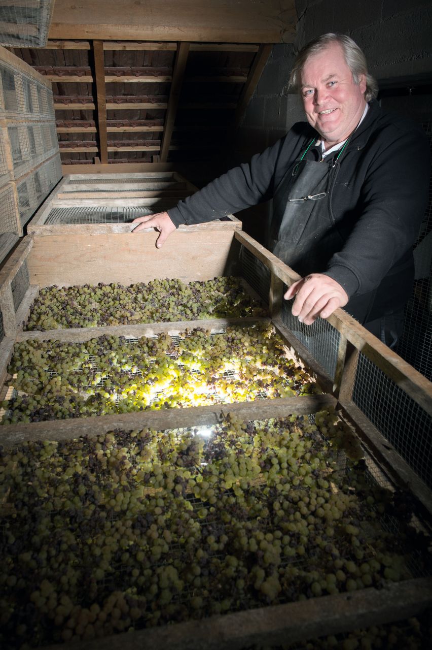 Vins Vigneron François Mossu Mossu-0005